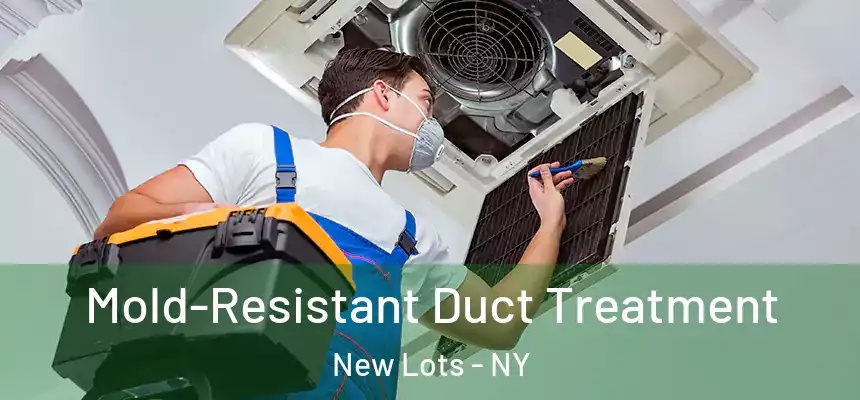  Mold-Resistant Duct Treatment New Lots - NY