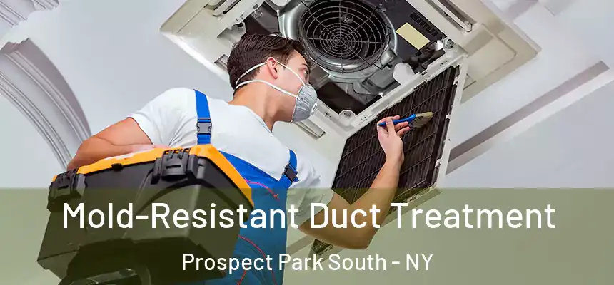 Mold-Resistant Duct Treatment Prospect Park South - NY