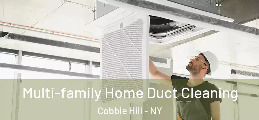 Multi-family Home Duct Cleaning Cobble Hill - NY