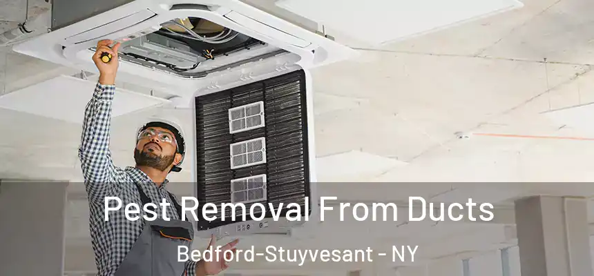 Pest Removal From Ducts Bedford-Stuyvesant - NY