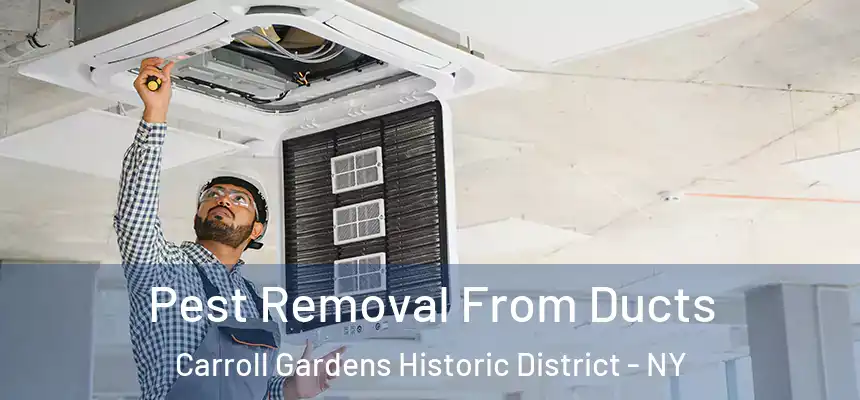 Pest Removal From Ducts Carroll Gardens Historic District - NY