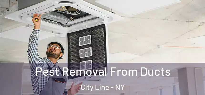 Pest Removal From Ducts City Line - NY
