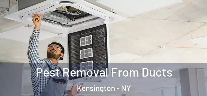  Pest Removal From Ducts Kensington - NY