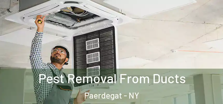 Pest Removal From Ducts Paerdegat - NY