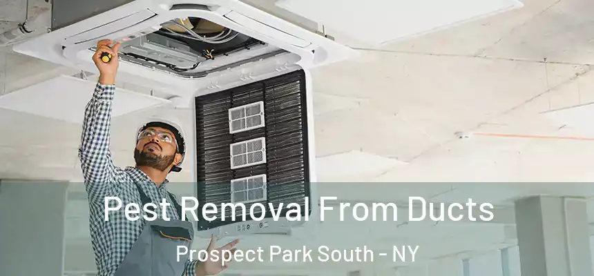  Pest Removal From Ducts Prospect Park South - NY