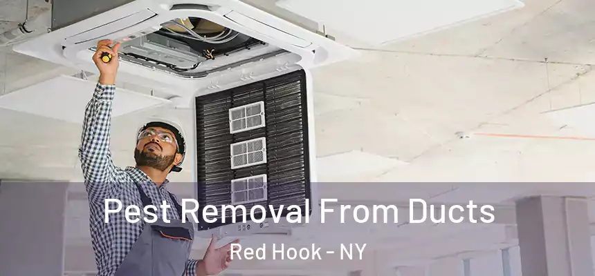 Pest Removal From Ducts Red Hook - NY