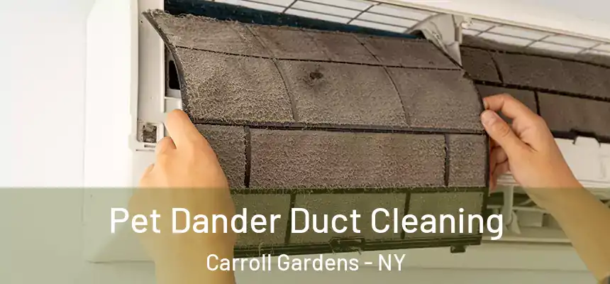  Pet Dander Duct Cleaning Carroll Gardens - NY