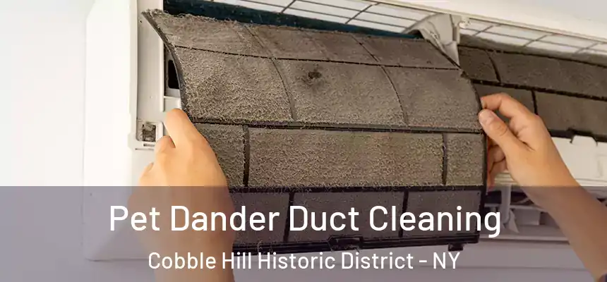 Pet Dander Duct Cleaning Cobble Hill Historic District - NY