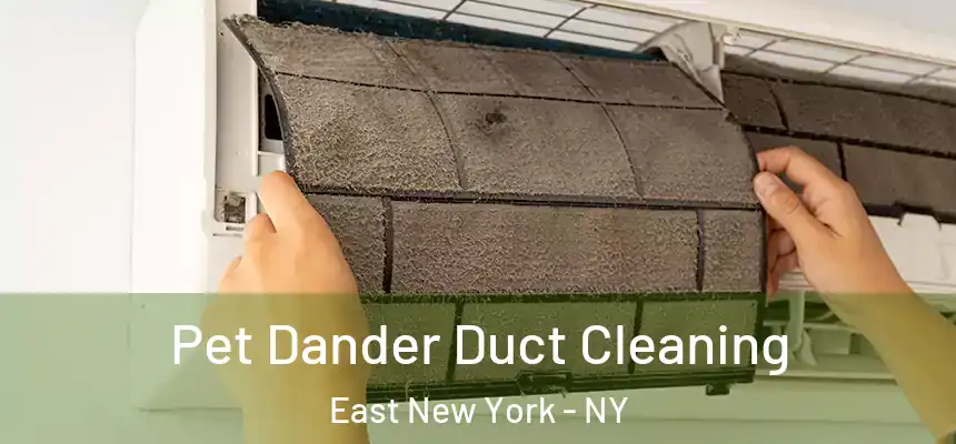  Pet Dander Duct Cleaning East New York - NY