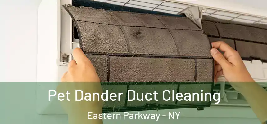  Pet Dander Duct Cleaning Eastern Parkway - NY