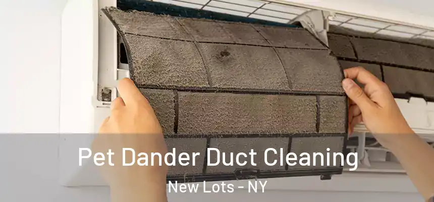 Pet Dander Duct Cleaning New Lots - NY