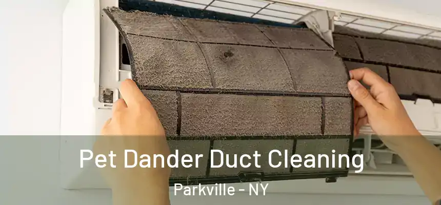 Pet Dander Duct Cleaning Parkville - NY