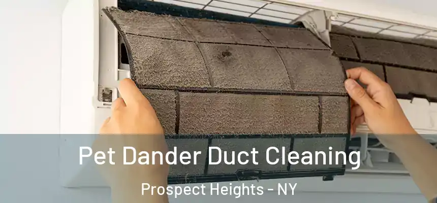 Pet Dander Duct Cleaning Prospect Heights - NY