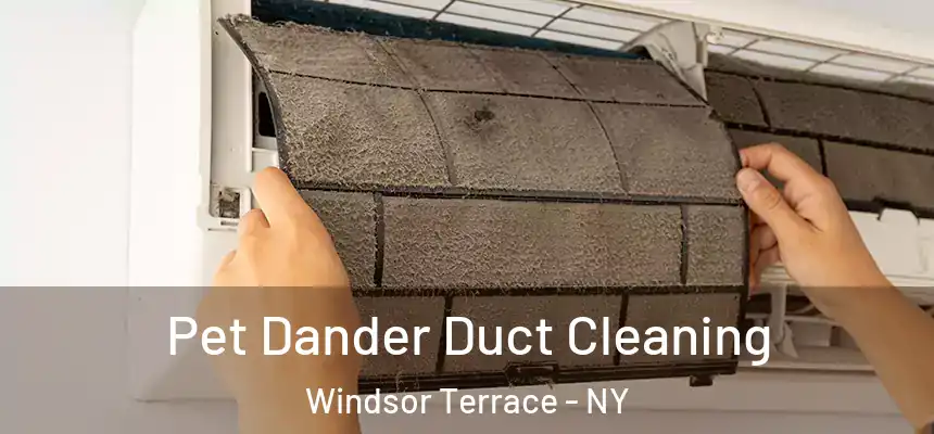 Pet Dander Duct Cleaning Windsor Terrace - NY