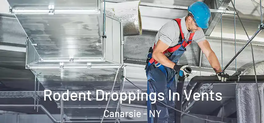  Rodent Droppings In Vents Canarsie - NY