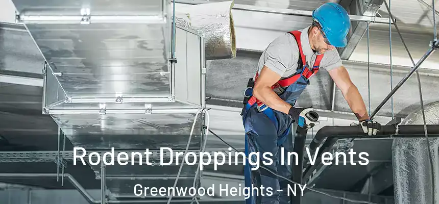  Rodent Droppings In Vents Greenwood Heights - NY