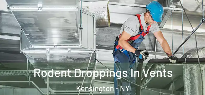 Rodent Droppings In Vents Kensington - NY