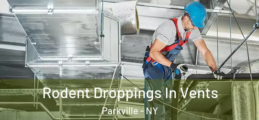  Rodent Droppings In Vents Parkville - NY