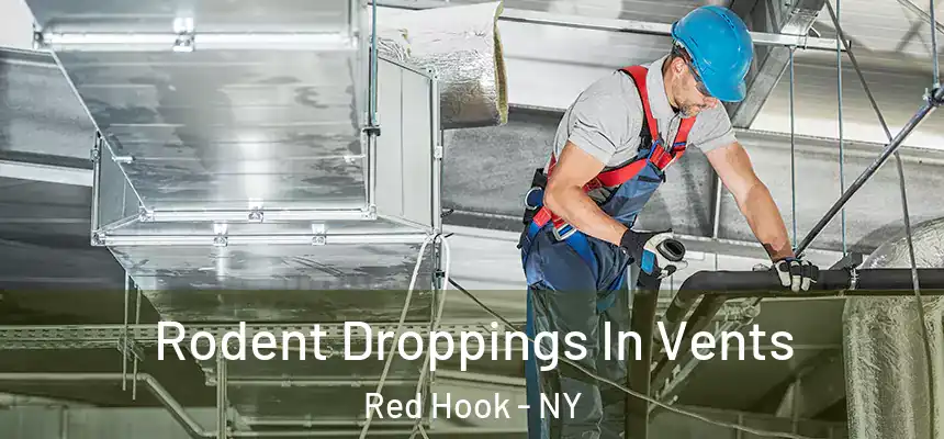 Rodent Droppings In Vents Red Hook - NY