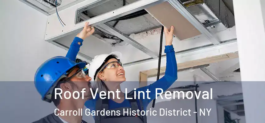  Roof Vent Lint Removal Carroll Gardens Historic District - NY
