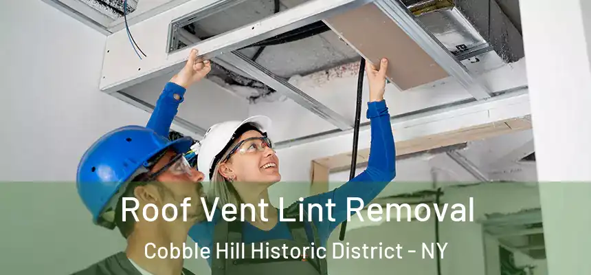  Roof Vent Lint Removal Cobble Hill Historic District - NY