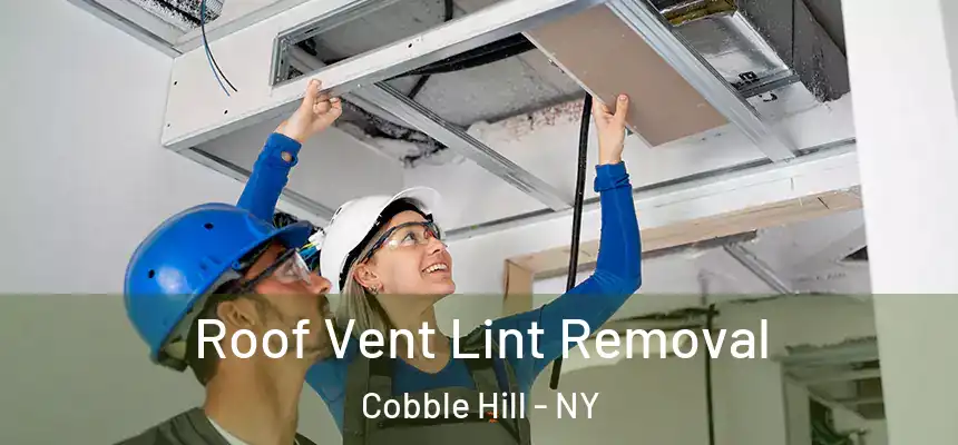 Roof Vent Lint Removal Cobble Hill - NY