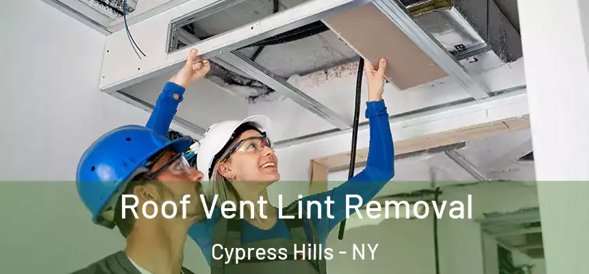 Roof Vent Lint Removal Cypress Hills - NY