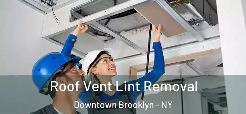  Roof Vent Lint Removal Downtown Brooklyn - NY