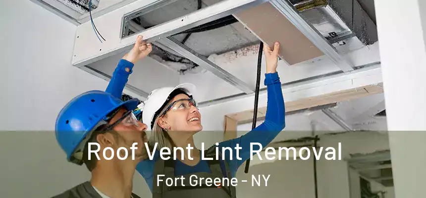 Roof Vent Lint Removal Fort Greene - NY
