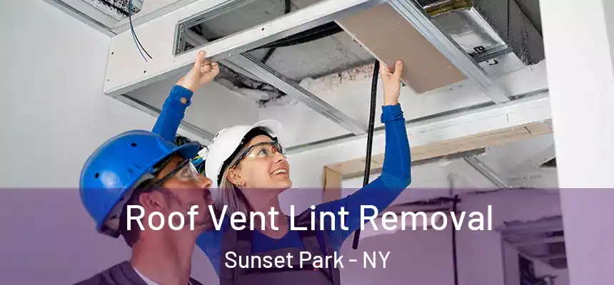 Roof Vent Lint Removal Sunset Park - NY