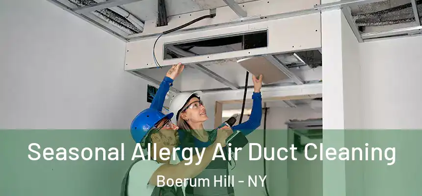  Seasonal Allergy Air Duct Cleaning Boerum Hill - NY