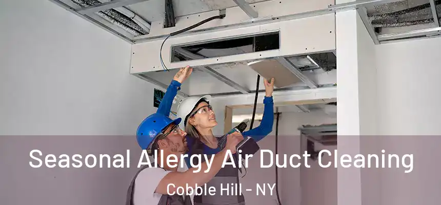 Seasonal Allergy Air Duct Cleaning Cobble Hill - NY