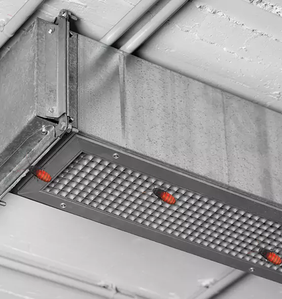 Affordable Insect Removal from Air Ducts in Brooklyn, NY