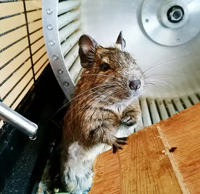 Why Homeowners & Businesses Trust Us Brooklyn, NY?