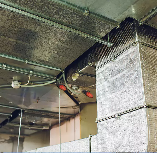 Why Homeowners & Businesses Trust Us Brooklyn, NY?