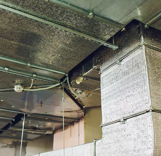 Why Homeowners & Businesses Trust Us in Brooklyn, NY?