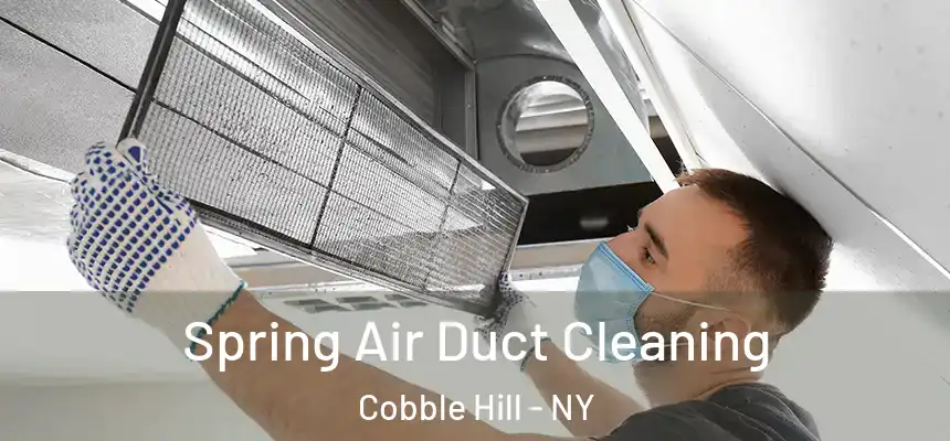 Spring Air Duct Cleaning Cobble Hill - NY
