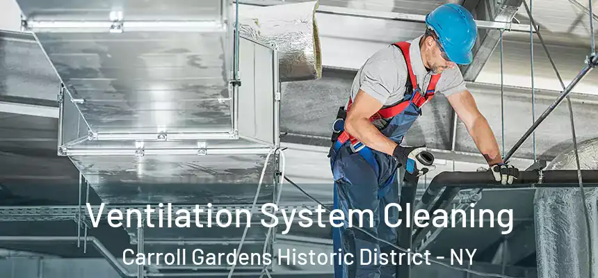  Ventilation System Cleaning Carroll Gardens Historic District - NY